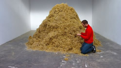 Finding the needle in a haystack